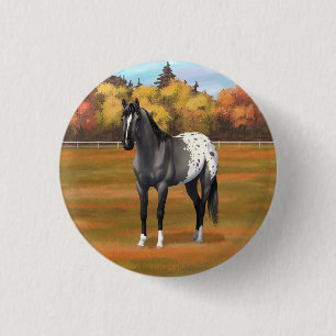 Grått Grulla Appaloosa Quarter Horse Stallion Knapp