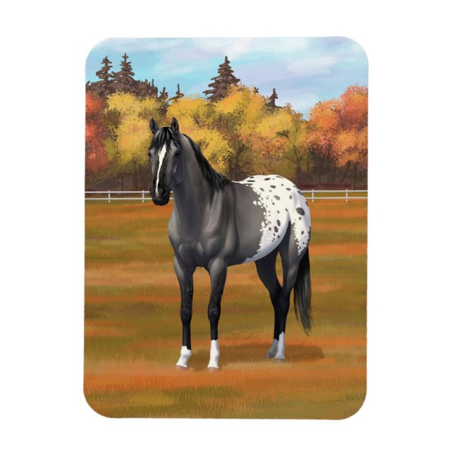 Grått Grulla Appaloosa Quarter Horse Stallion Magnet (Vertikal)