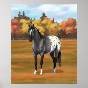 Grått Grulla Appaloosa Quarter Horse Stallion Poster