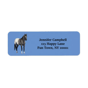 Grått Grulla Appaloosa Quarter Horse Stallion Returadress Etikett