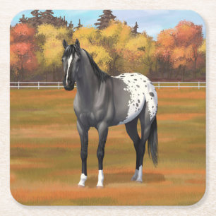 Grått Grulla Appaloosa Quarter Horse Stallion Underlägg Papper Kvadrat