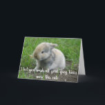 Grått Hair Hare Funny Age Bunny Birthday Kort<br><div class="desc">Den här designen har skapats genom digital grafik. Det kan vara personlig i området att tillhandahålla eller anpassa genom att klicka för att anpassa ytterligare alternativ och ändra namn, initialer eller ord. Du kan också ändra texten färg och stil eller ta bort texten för en bilddesign. Kontakta mig på colorflowcreations@gmail.com...</div>