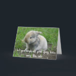Grått Hair Hare Funny Age Bunny Birthday Kort<br><div class="desc">Den här designen har skapats genom digital grafik. Det kan vara personlig i området att tillhandahålla eller anpassa genom att klicka för att anpassa ytterligare alternativ och ändra namn, initialer eller ord. Du kan också ändra texten färg och stil eller ta bort texten för en bilddesign. Kontakta mig på colorflowcreations@gmail.com...</div>