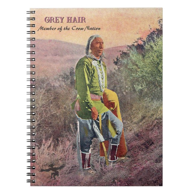 Grått Hair Native American Notebook Anteckningsbok (Framsidan)