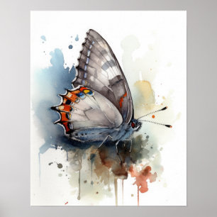 Grått Hairstreak Butterfly Art-utskrift Poster