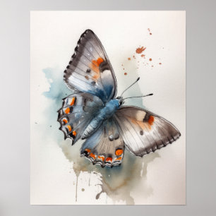 Grått Hairstreak Butterfly Art-utskrift Poster