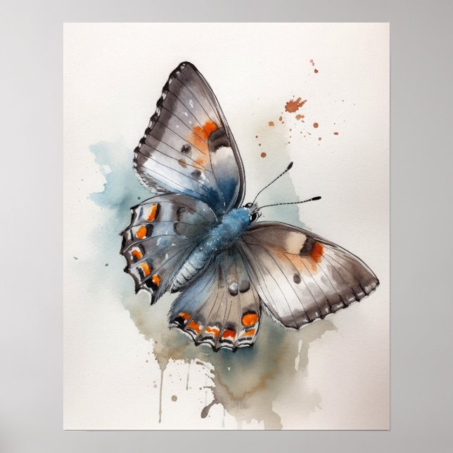 Grått Hairstreak Butterfly Art-utskrift Poster (Framsidan)