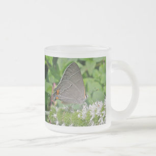 Grått Hairstreak Butterfly Frostad Glasmugg