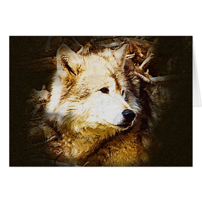 Grått hålla ögonen på för varg hälsningskort (Framsidan Horizontal)