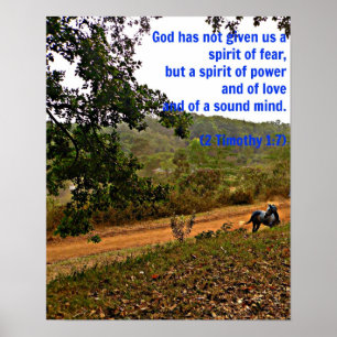 Grått-hästinspiration Timothy Bible Verse God Poster