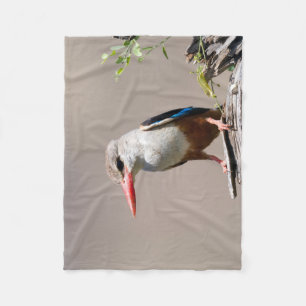 Grått-Headed Kingfisher Fleecefilt
