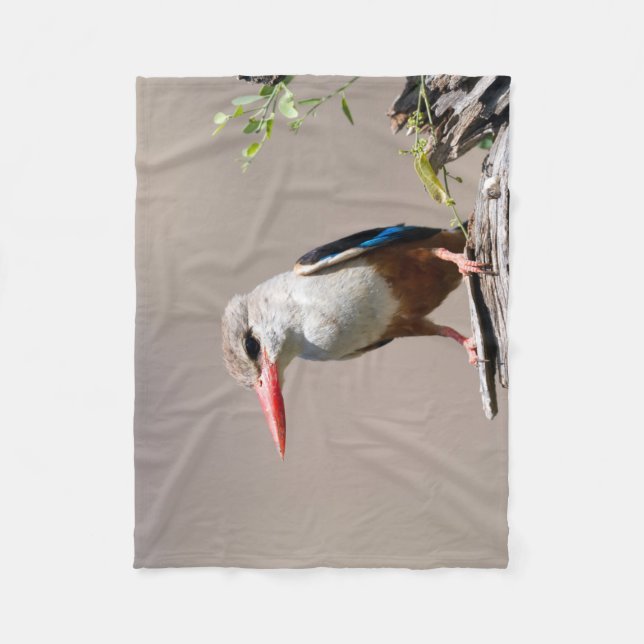 Grått-Headed Kingfisher Fleecefilt (Framsidan)