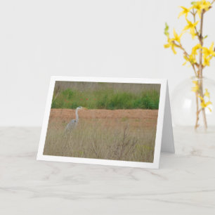 Grått Heron Bird Card Kort