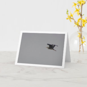 Grått Heron Bird in Himlar Card Kort