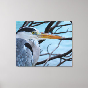 Grått Heron Canvastryck