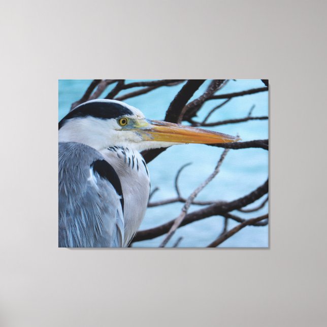 Grått Heron Canvastryck (Framsida)