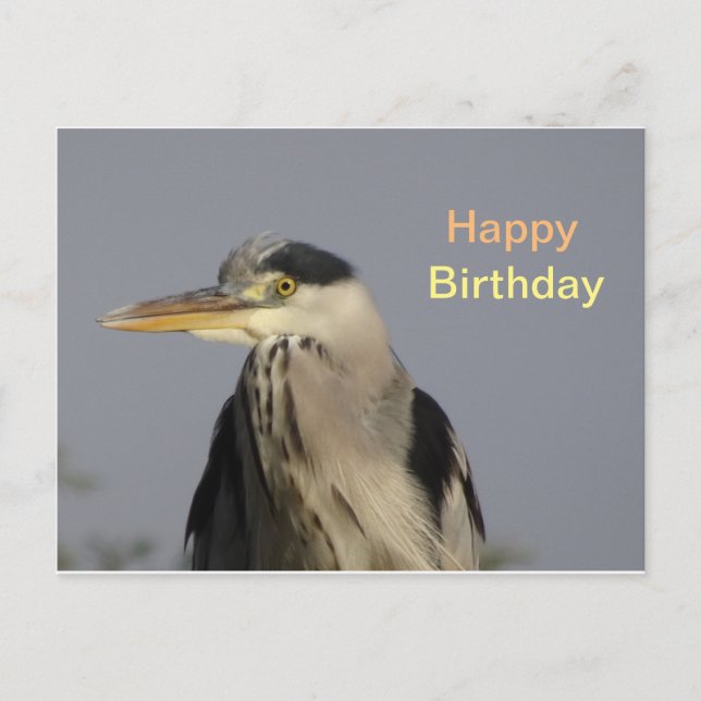 Grått Heron Grattis på födelsedagen vykort (Framsida)