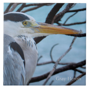 Grått Heron Kakelplatta