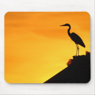 Grått Heron Musmatta