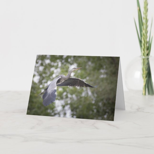 Grått Heron Nature Photo Kort (Framsida)