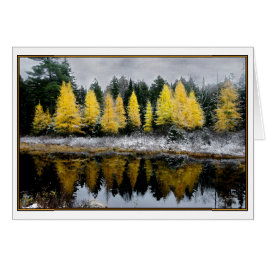 Grått Himmel over Tamarack Bog Hälsningskort
