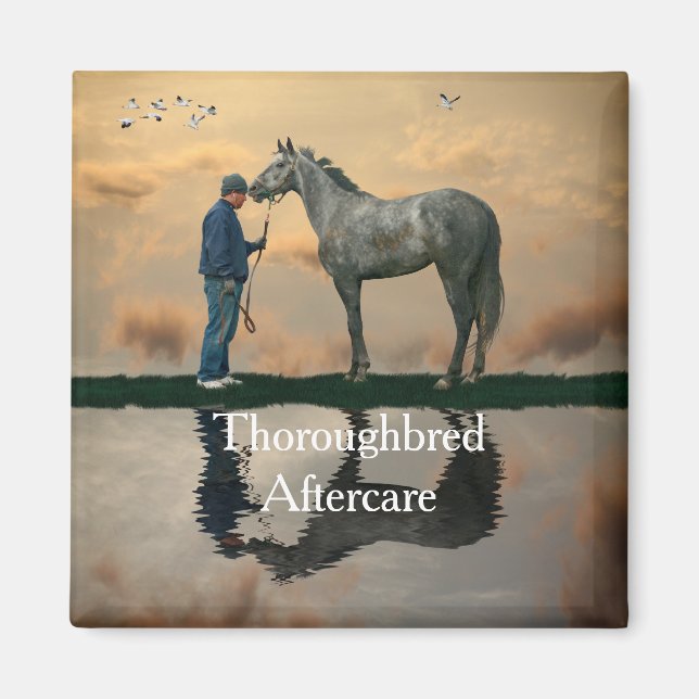 Grått Horse and Groom OTTB Magnet (Framsidan)
