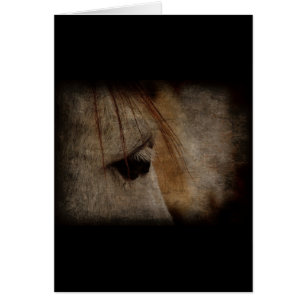 Grått Horse Ansikte Grunge Hälsningskort