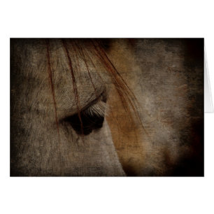 Grått Horse Ansikte Grunge Hälsningskort