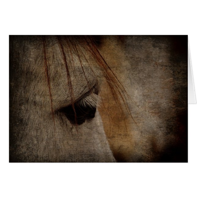 Grått Horse Ansikte Grunge Hälsningskort (Framsidan Horizontal)