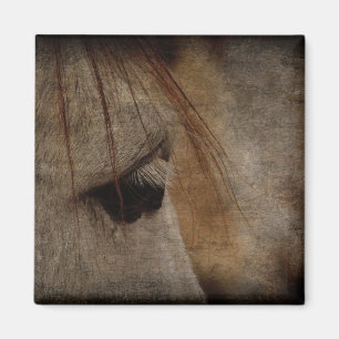 Grått Horse Ansikte Grunge Magnet