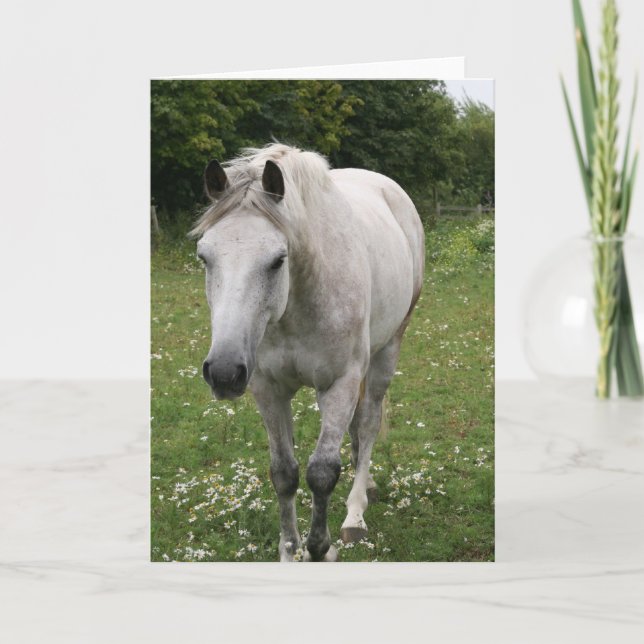 Grått Horse Greeting Card Kort (Framsida)