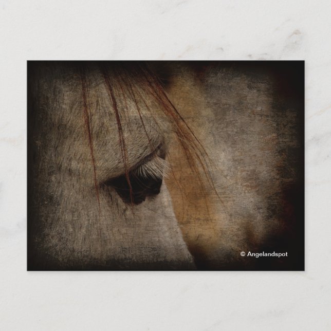 Grått Horse Grunge Vykort (Framsida)