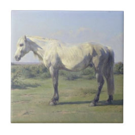 Grått Horse in a Fält (av Rosa Bonheur) Kakelplatta