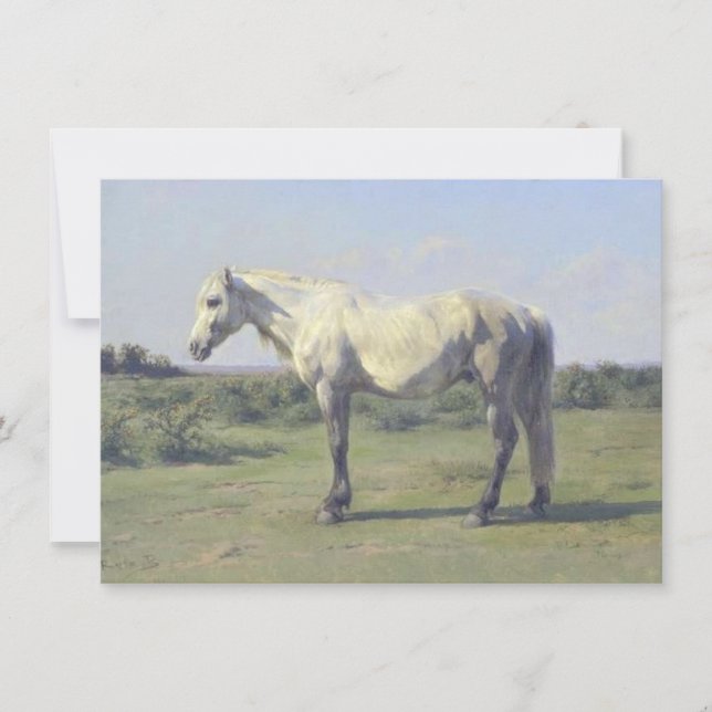 Grått Horse in a Fält (av Rosa Bonheur) Kort (Framsida)