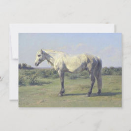 Grått Horse in a Fält (av Rosa Bonheur) Kort