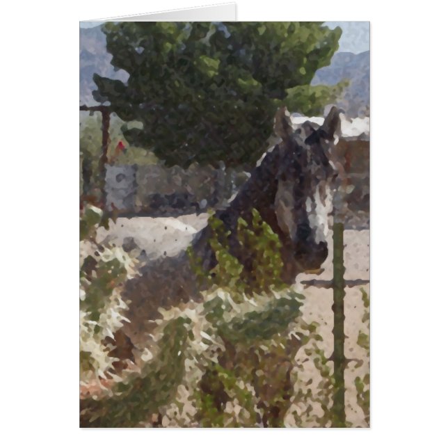 Grått Horse in Catcus Hälsningskort (Framsidan)