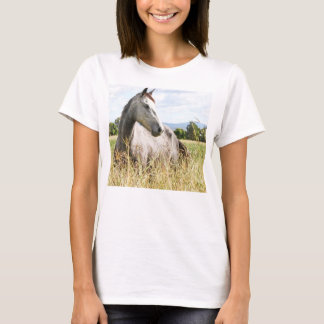 Grått Horse in Paddock Långärmad Dam T-Shirt