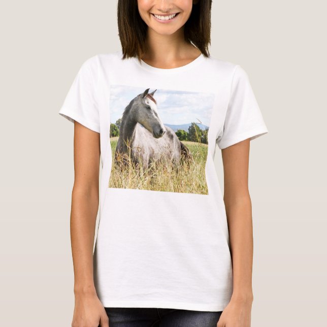 Grått Horse in Paddock Långärmad Dam T-Shirt (Framsida)