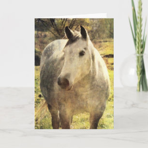 Grått Horse Kort