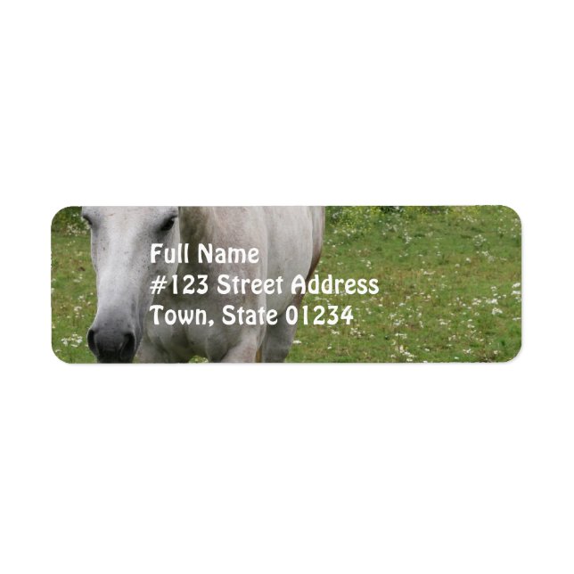 Grått Horse Mailing Labels Returadress Etikett (Framsidan)