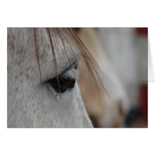 Grått Horse Öga Hälsningskort