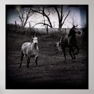 Grått Horses Gallop Poster