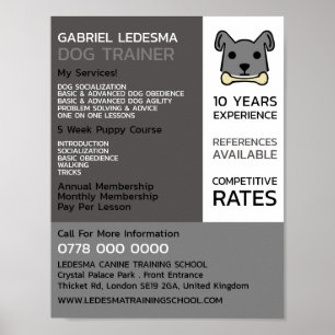Grått Hund, Hund Trainer Advertising Poster