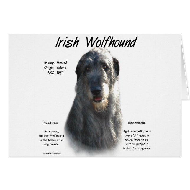 Grått Irish Wolfhound History Hälsningskort (Framsidan Horizontal)