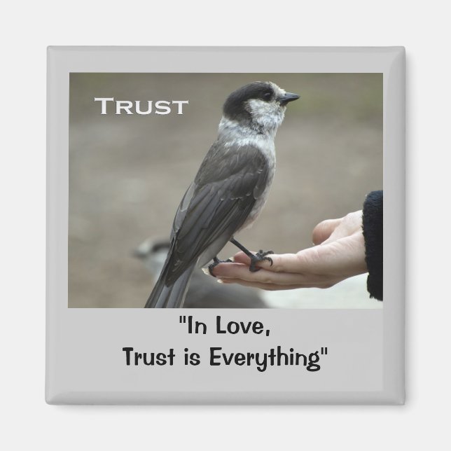 Grått Jay Motivational Magnets Magnet (Framsidan)