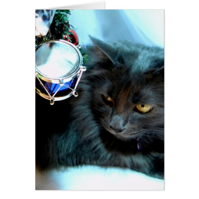 Grått jul Kattunge II Hälsningskort (Framsidan)