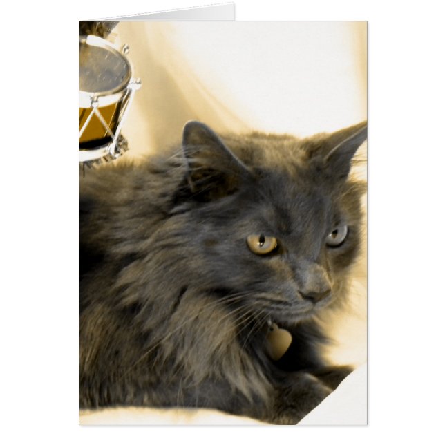 Grått jul Kattunge III Hälsningskort (Framsidan)