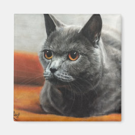 Grått-katt vila med orange öga magnet
