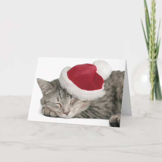 Grått-katten sjunker under ett nytt års tak helgkort (Framsida)