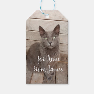 Grått-kattfoto Presentetikett